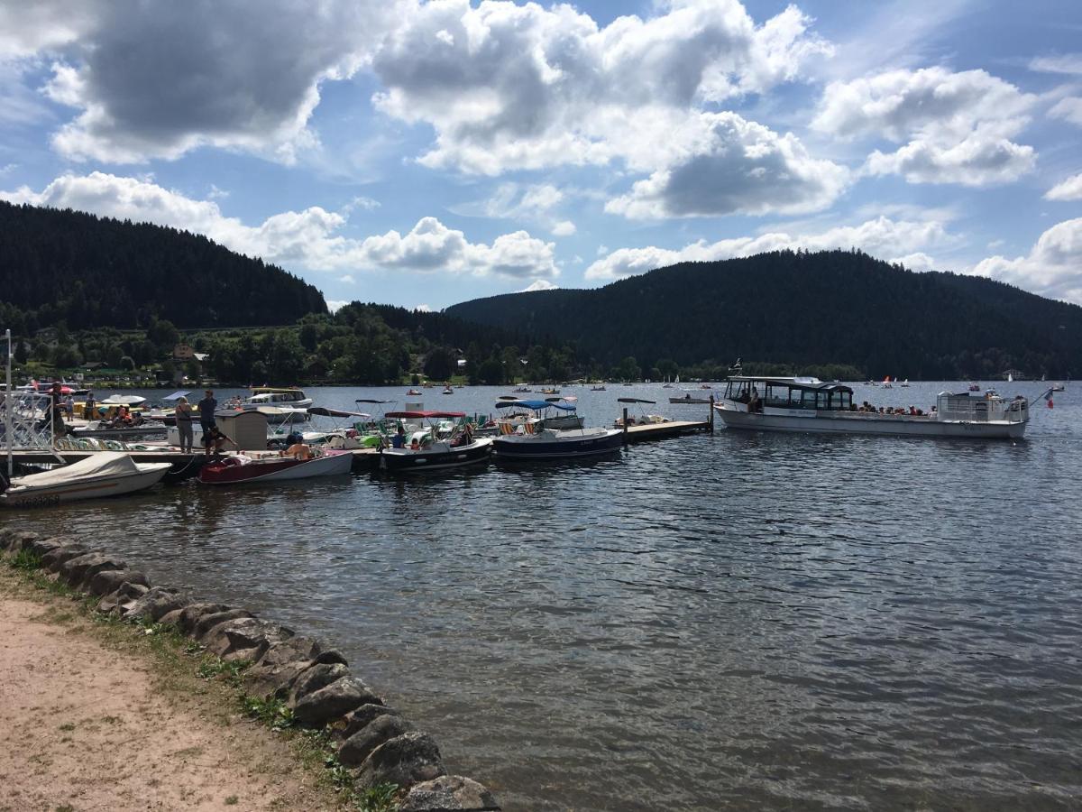 Gite Les Dryades Gérardmer Buitenkant foto