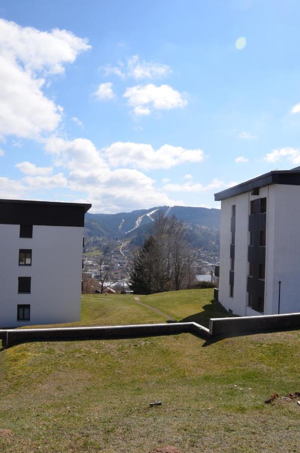Gite Les Dryades Gérardmer Buitenkant foto