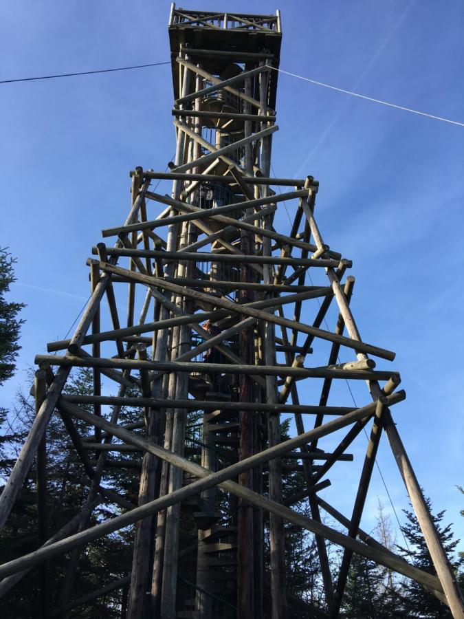 Gite Les Dryades Gérardmer Buitenkant foto