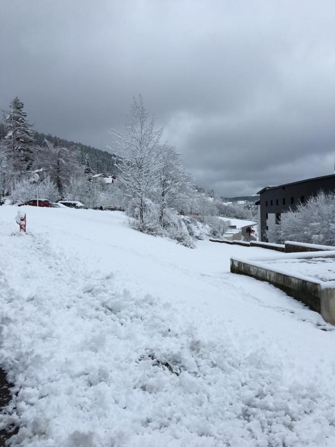 Gite Les Dryades Gérardmer Buitenkant foto