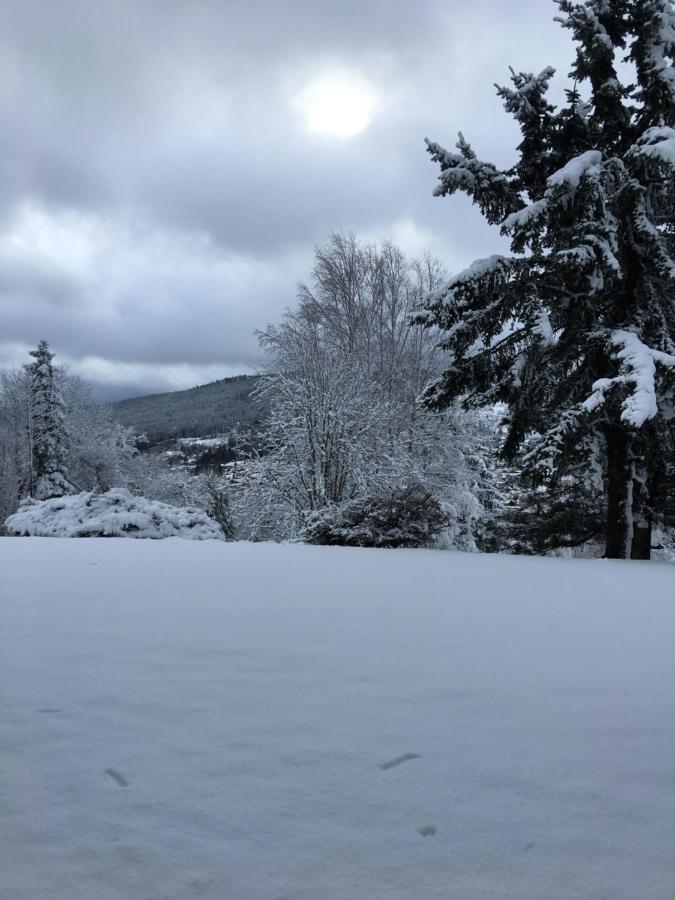 Gite Les Dryades Gérardmer Buitenkant foto
