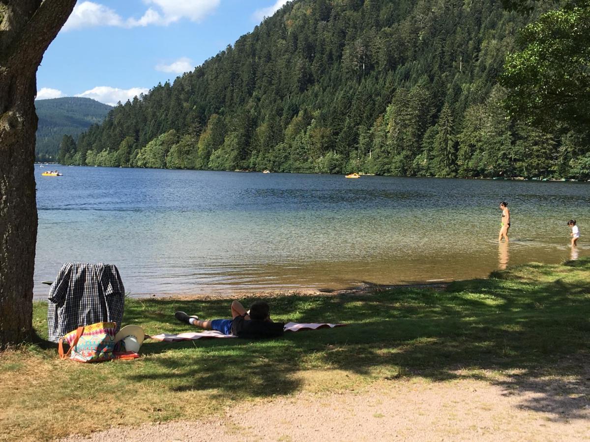 Gite Les Dryades Gérardmer Buitenkant foto