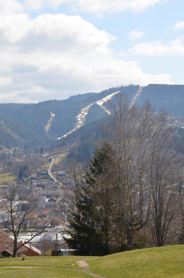 Gite Les Dryades Gérardmer Buitenkant foto